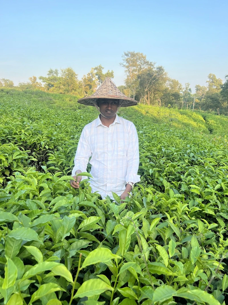 Nasir's Tea Garden Sport